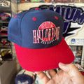 NFL Pro Football Hall of Fame Festival Canton, Ohio Logo 7 SnapBack