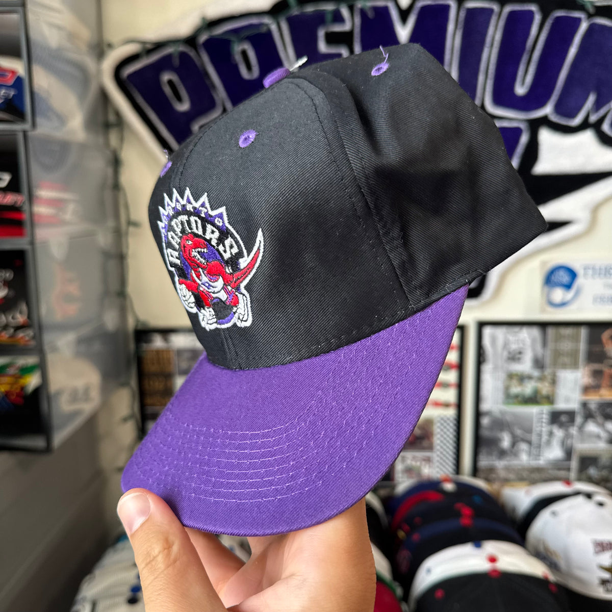 Toronto Raptors Plain Logo Logo 7 NBA Basketball Snapback