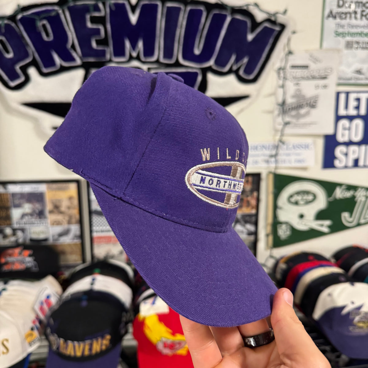 Northwestern Wildcats NCAA College Shallow Fit Dad hat