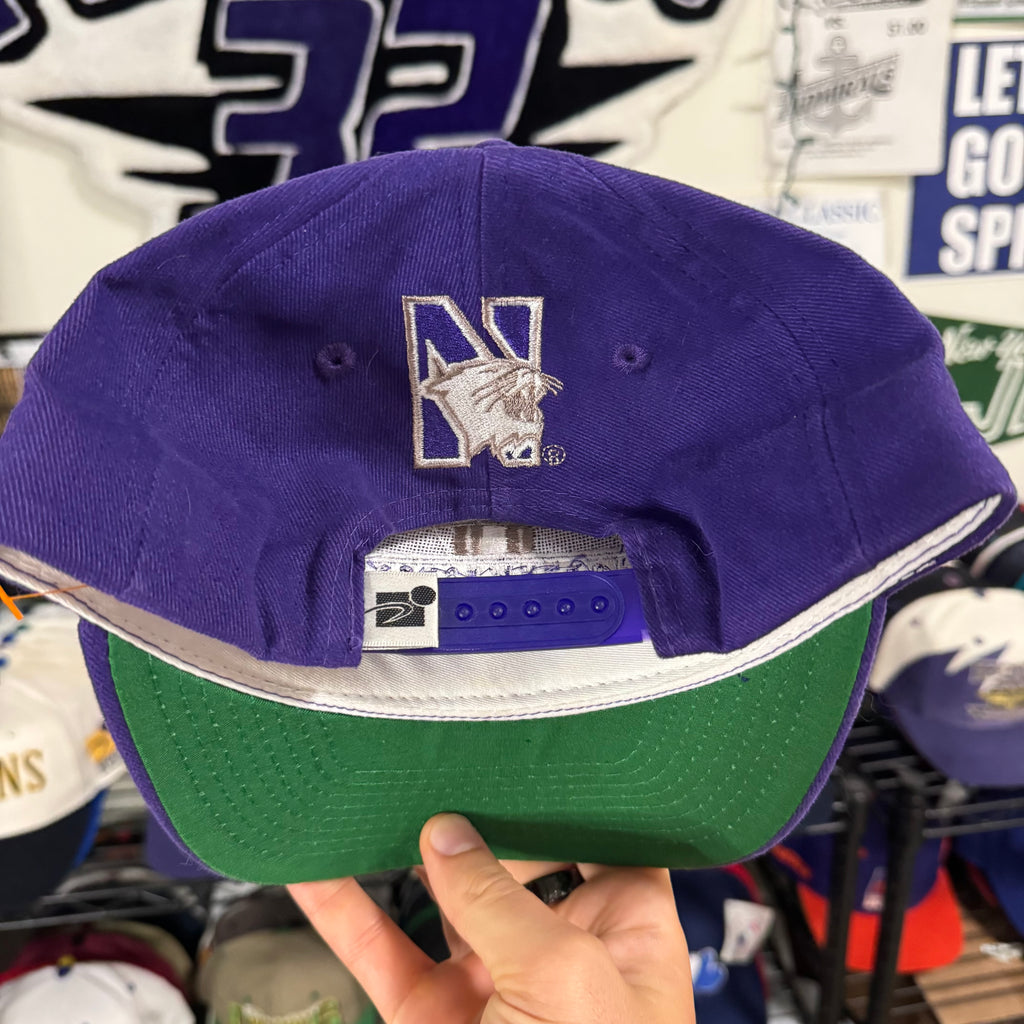 Northwestern Wildcats NCAA College Shallow Fit Dad hat