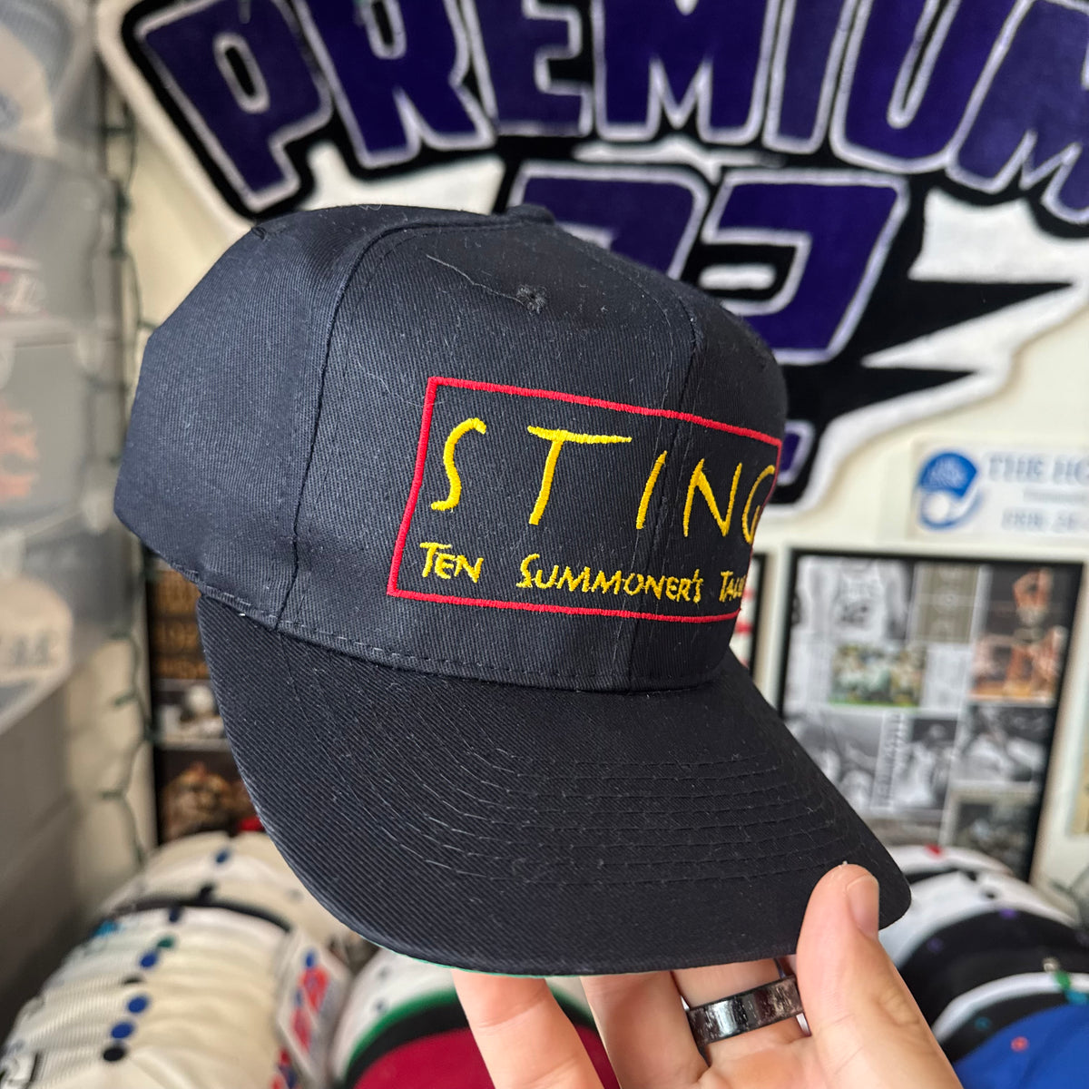 Sting Ten Summoner’s Tales Snapback
