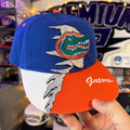 University of Florida Gators Snapback