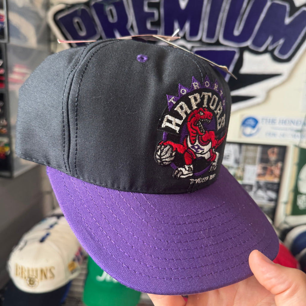 Toronto Raptors Plain Logo AJD NBA Basketball Snapback