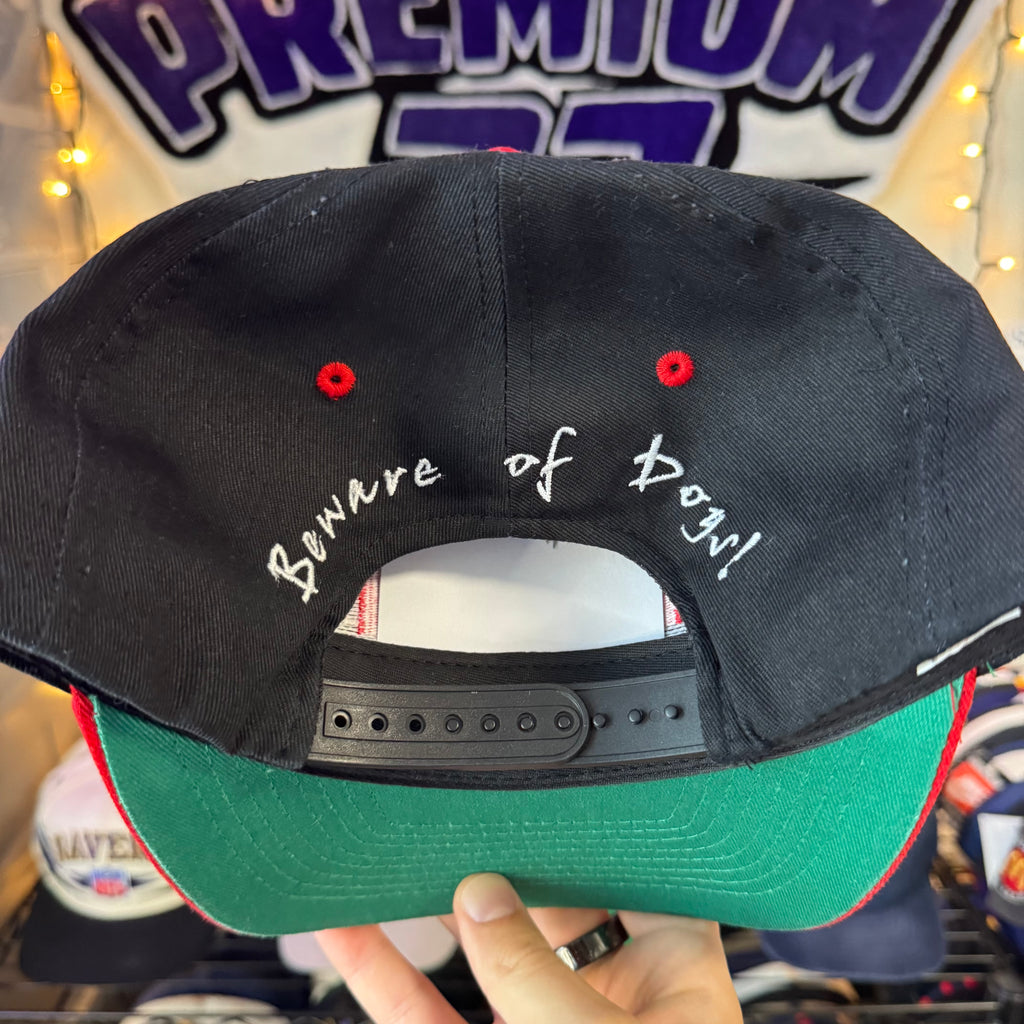 RCA Racing Beware of Dog Jeremy Mayfield Snapback