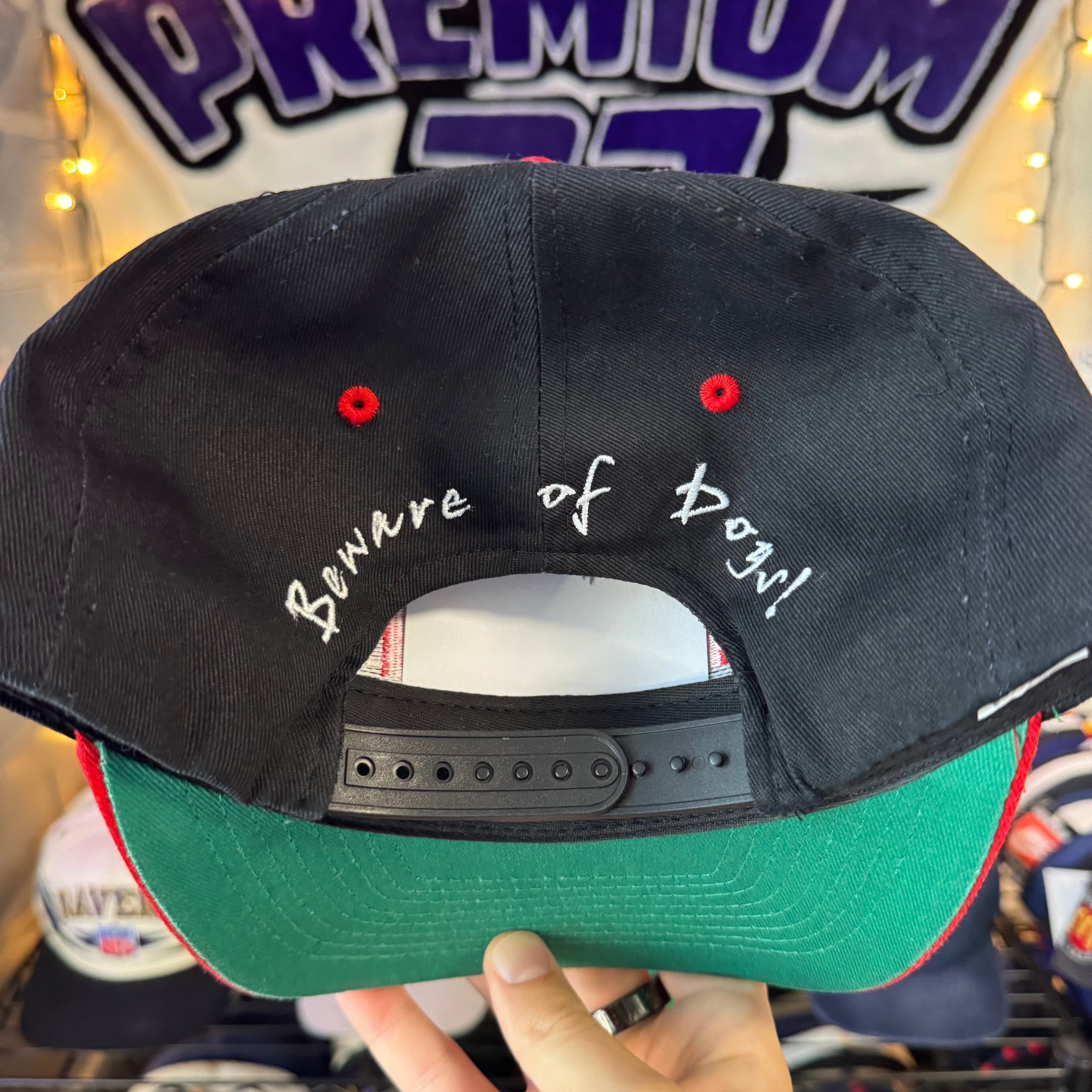 RCA Racing Beware of Dog Jeremy Mayfield Snapback