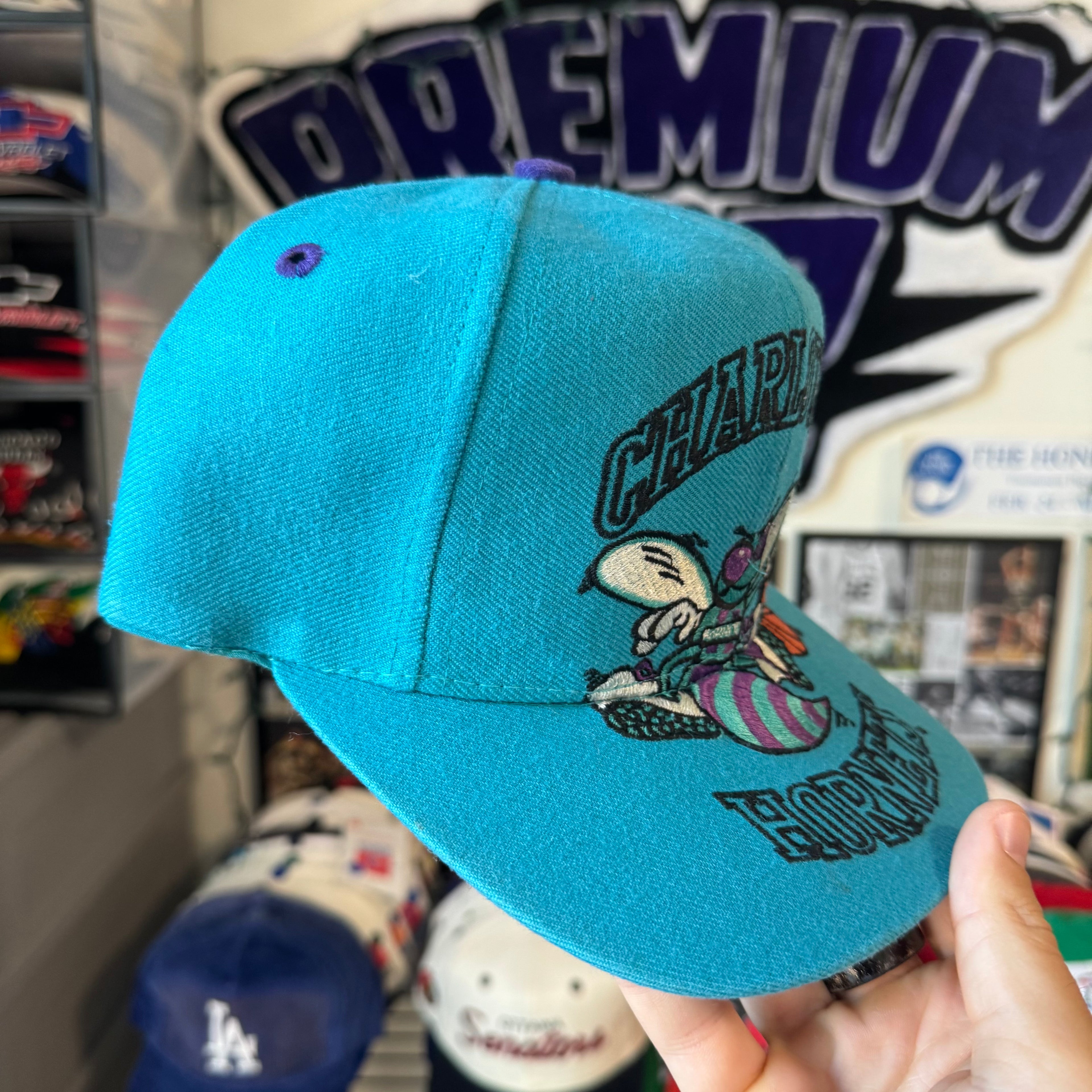 Charlotte Hornets Monster Logo Blockhead AJD NBA Basketball Snapback