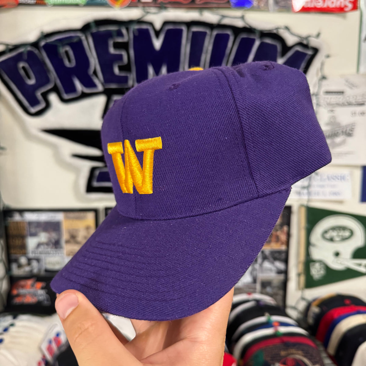 Washington Huskies Top of the World NCAA College Snapback