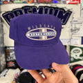 Northwestern Wildcats NCAA College Shallow Fit Dad hat