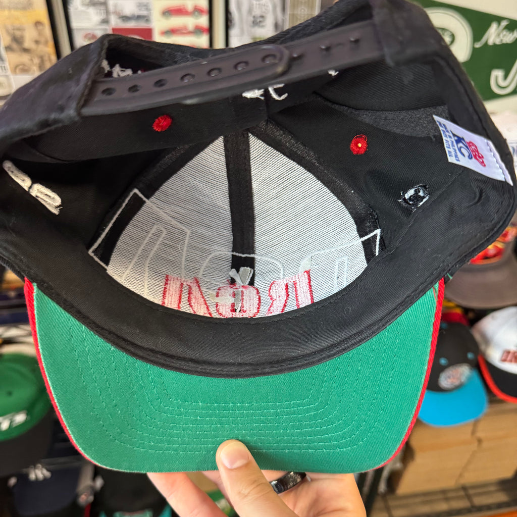 RCA Racing Beware of Dog Jeremy Mayfield Snapback