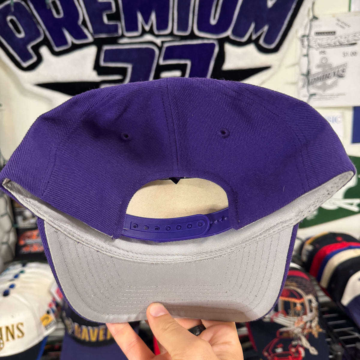 Washington Huskies Top of the World NCAA College Snapback