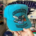 Charlotte Hornets Monster Logo Blockhead AJD NBA Basketball Snapback