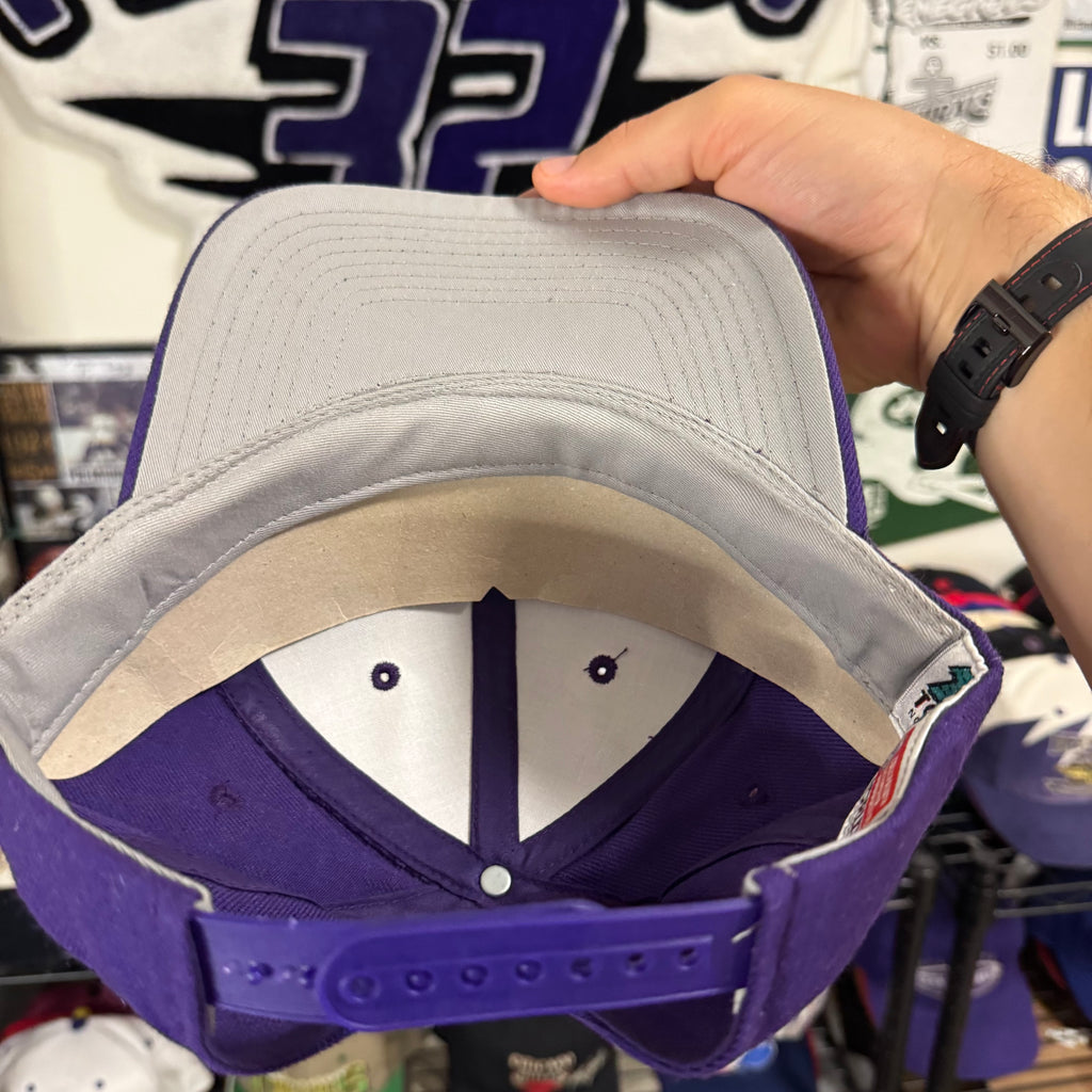 Washington Huskies Top of the World NCAA College Snapback