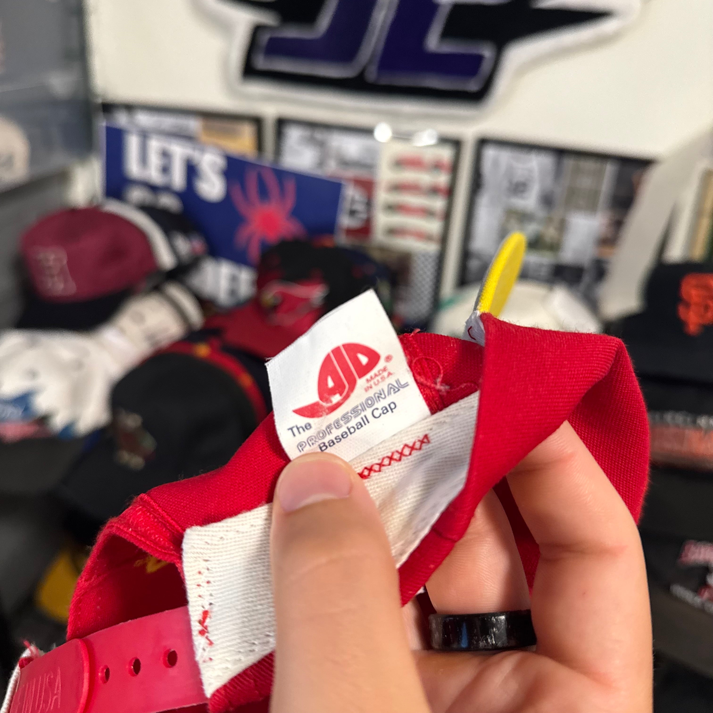Kellogg’s Corn Flakes Racing Terry Labonte #5 Snapback
