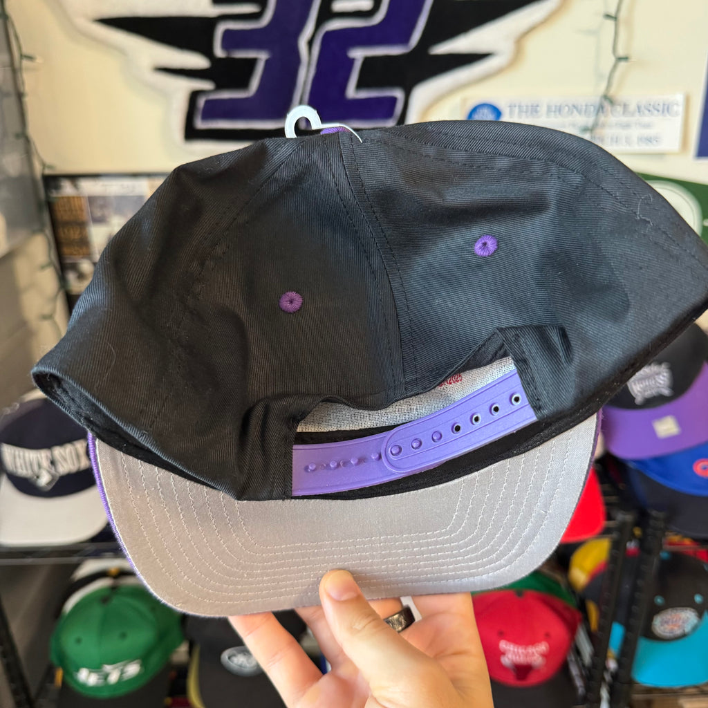 Sacramento Kings Light-Up Logo 7 NHL Hockey Snapback