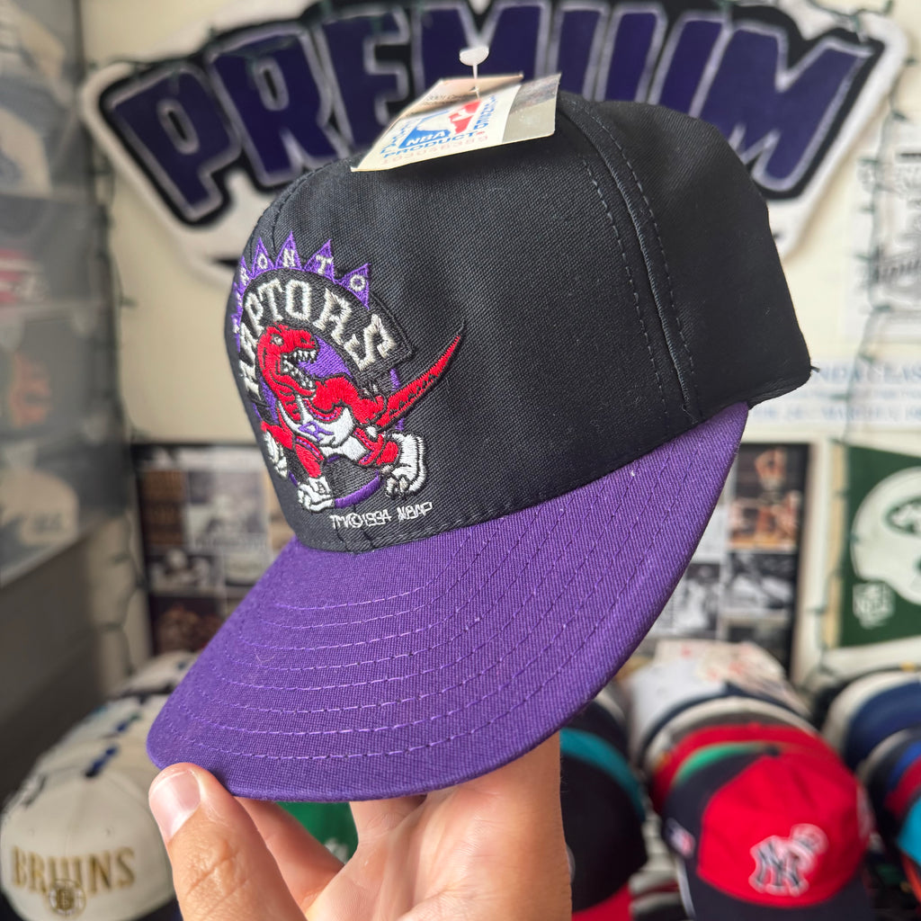 Toronto Raptors Plain Logo AJD NBA Basketball Snapback