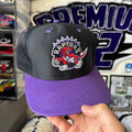 Toronto Raptors Plain Logo Logo 7 NBA Basketball Snapback