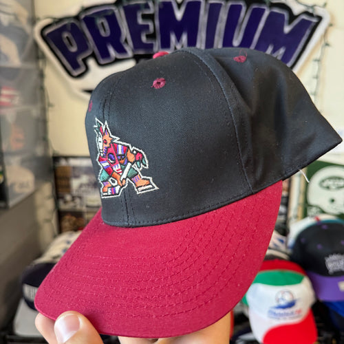 Arizona Coyotes Light-Up Plain Logo Logo 7 NHL Hockey Snapback