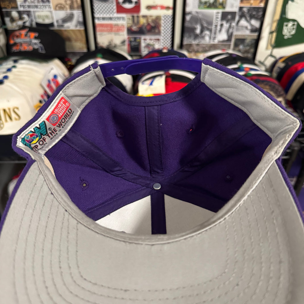 Washington Huskies Top of the World NCAA College Snapback