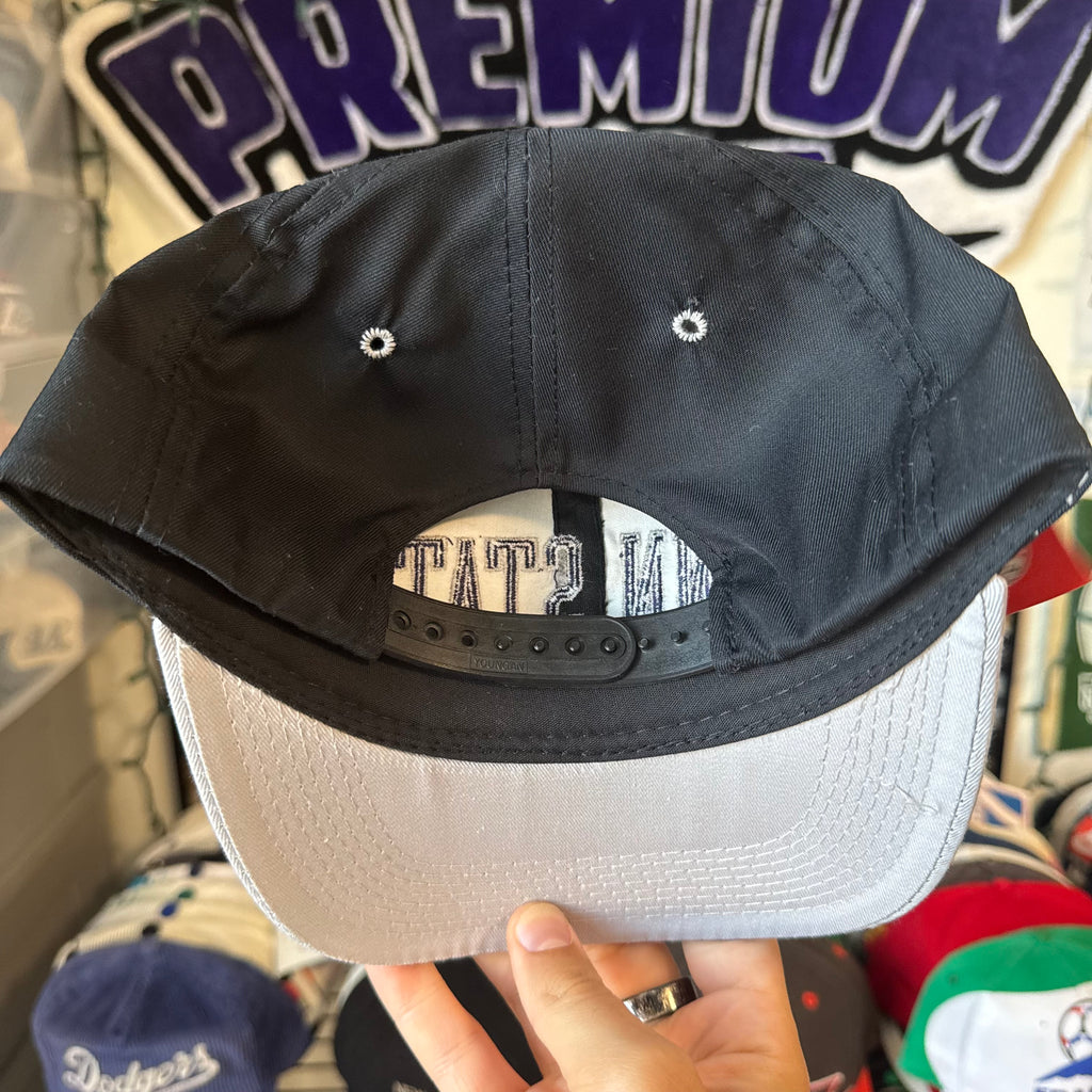 Penn State University Cardinal Caps NCAA College SnapBack