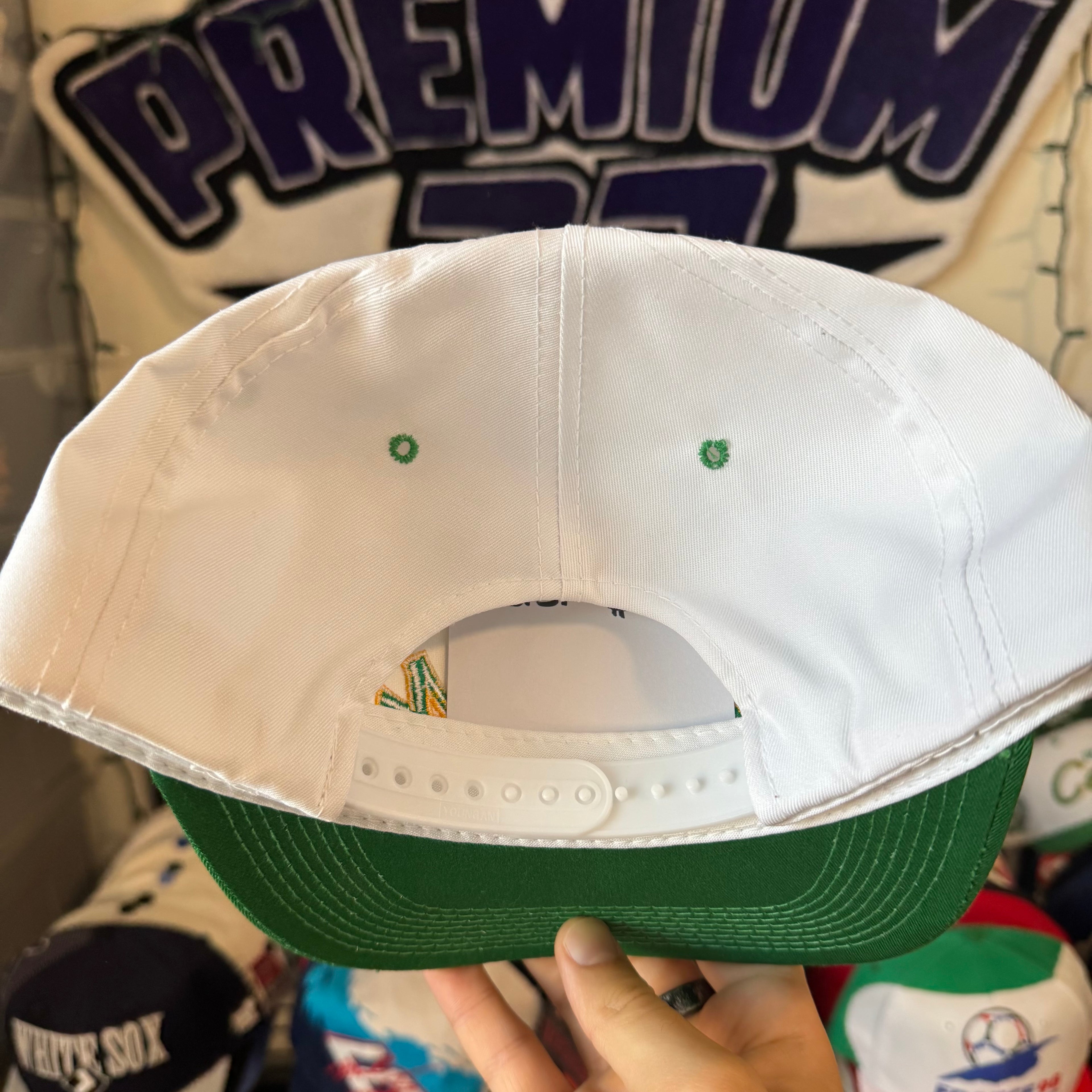 Boston Celtics Sports Specialties Double Line Script NBA Basketballs Snapback
