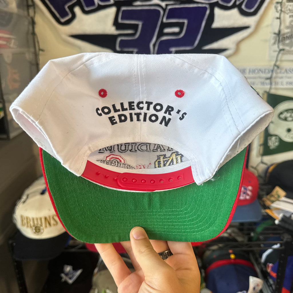 Ohio Stadium 1995 University of Notre Dame Irish vs Ohio State University Buckeyes Logo 7 NCAA College Football Snapback