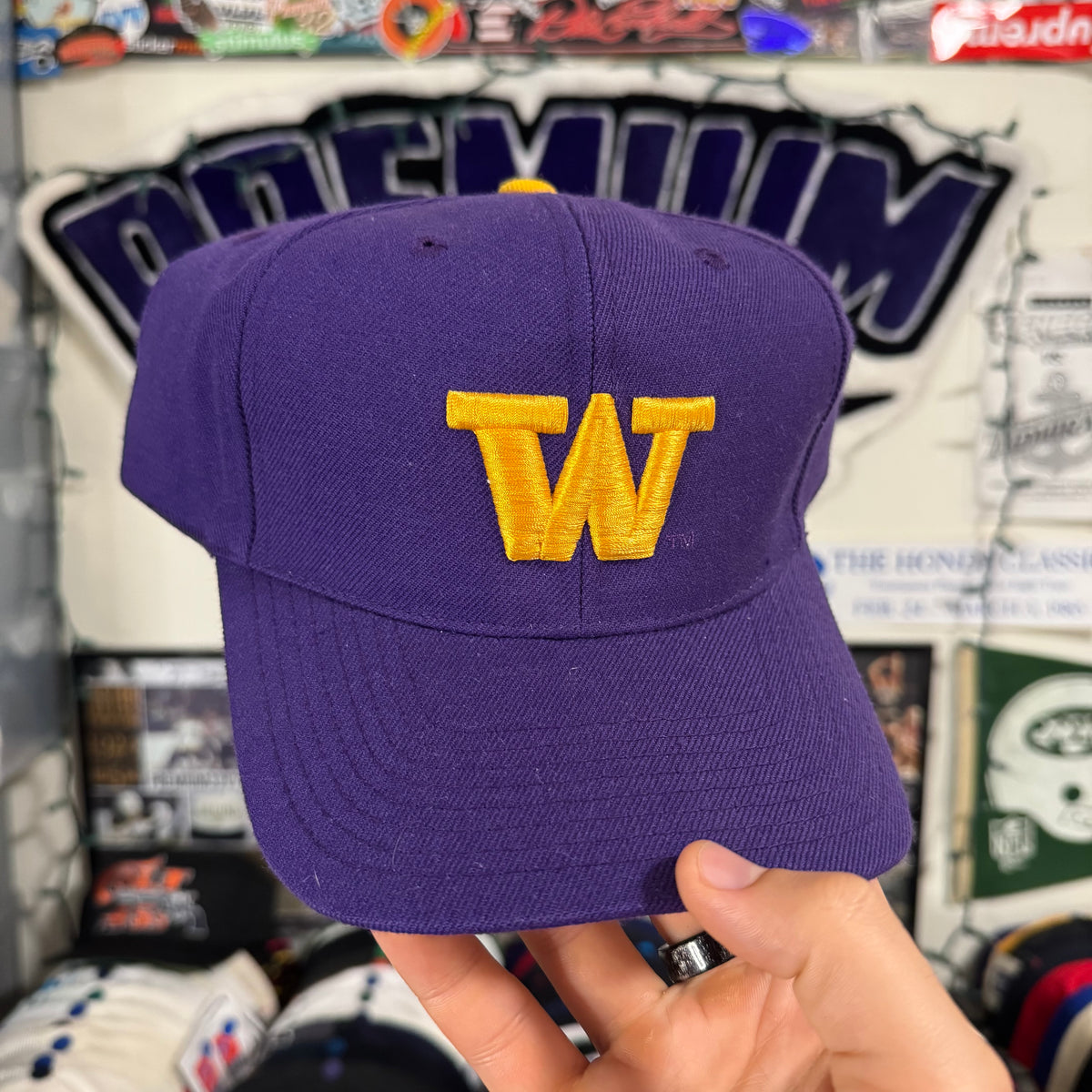 Washington Huskies Top of the World NCAA College Snapback
