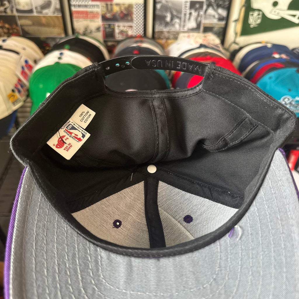 Toronto Raptors Plain Logo AJD NBA Basketball Snapback