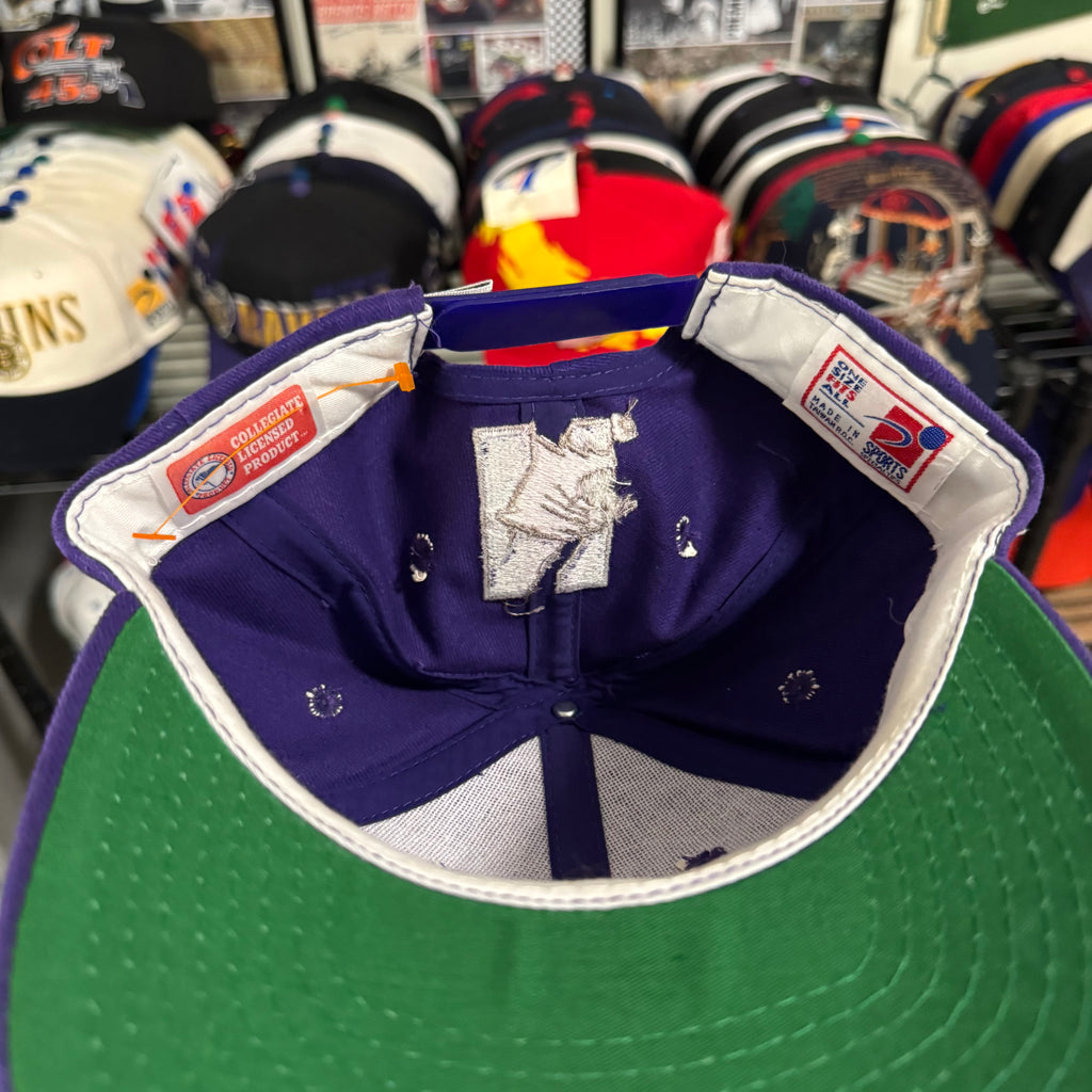 Northwestern Wildcats NCAA College Shallow Fit Dad hat