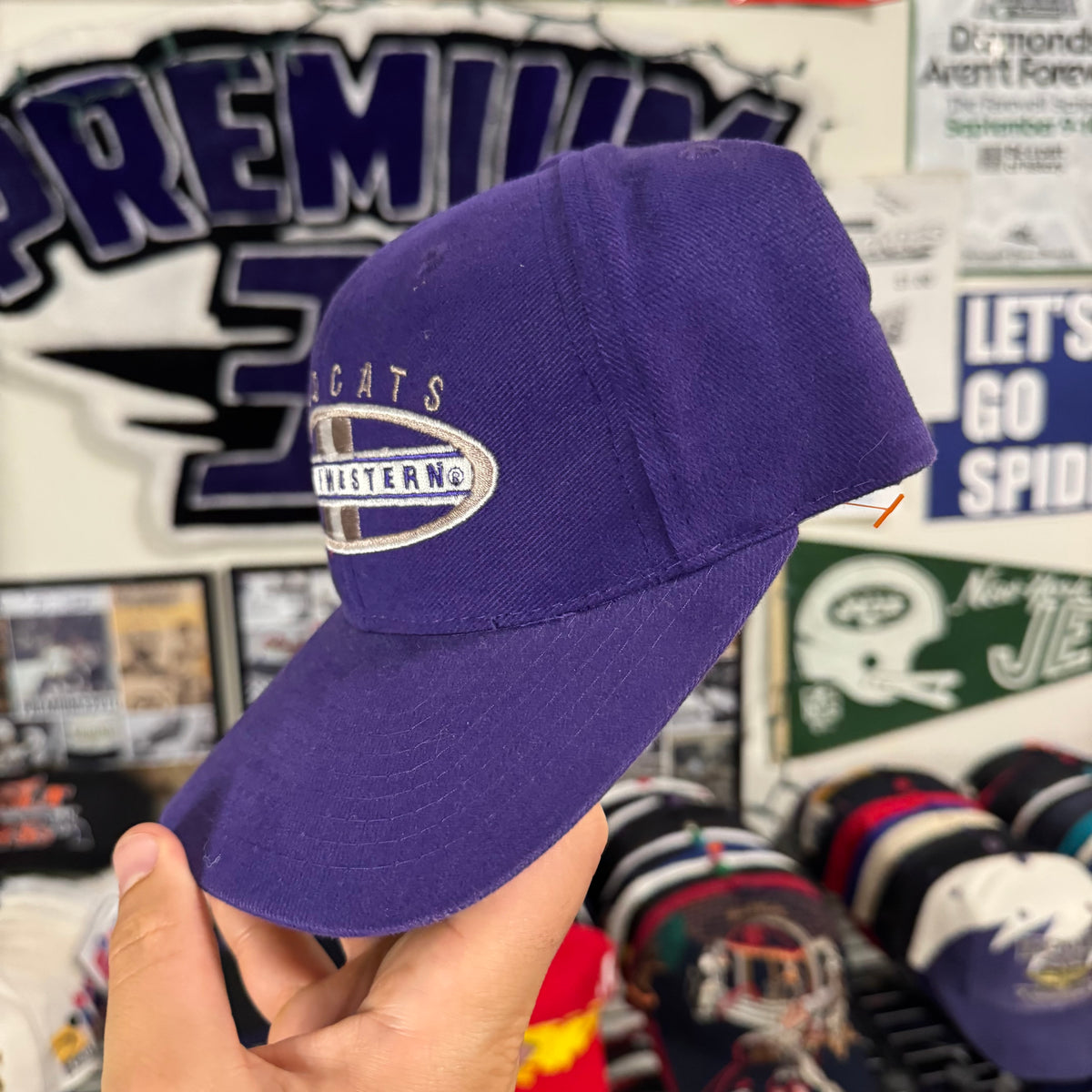 Northwestern Wildcats NCAA College Shallow Fit Dad hat