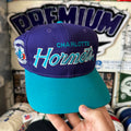 Charlotte Hornets Sports Specialties Double Line Script